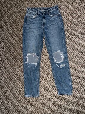 American Eagle Outfitters Distressed Mom Jeans